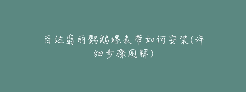 百达翡丽鹦鹉螺表带如何安装(详细步骤图解)-名表号 百达翡丽鹦鹉螺表带如何安装(详细步骤图解)