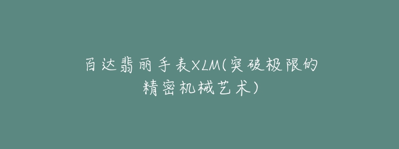 百达翡丽手表XLM(突破极限的精密机械艺术)-名表号 百达翡丽手表XLM(突破极限的精密机械艺术)