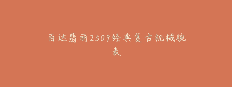百达翡丽2509经典复古机械腕表-名表号 百达翡丽2509经典复古机械腕表