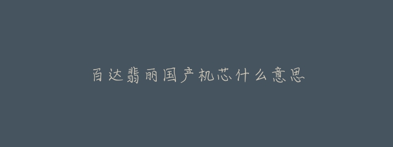 百达翡丽国产机芯什么意思-名表号 百达翡丽国产机芯什么意思