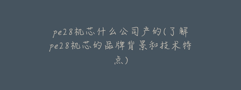 pe28机芯什么公司产的(了解pe28机芯的品牌背景和技术特点)
