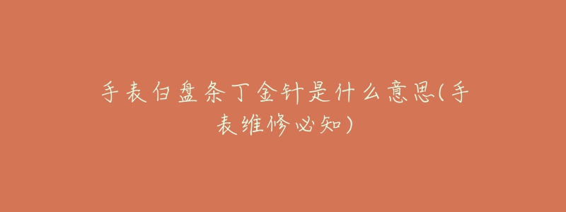 手表白盘条丁金针是什么意思(手表维修必知)-名表号 手表白盘条丁金针是什么意思(手表维修必知)