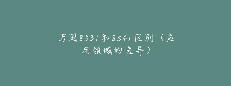 万国8531和8541区别(应用领域的差异)-名表号 万国8531和8541区别(应用领域的差异)