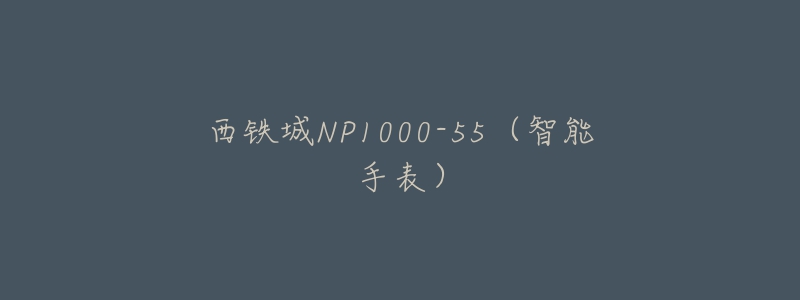 西铁城NP1000-55(智能手表)-名表号 西铁城NP1000-55(智能手表)
