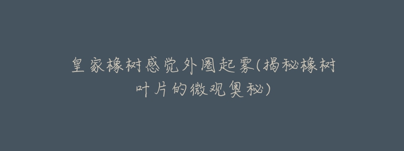 皇家橡树感觉外圈起雾(揭秘橡树叶片的微观奥秘)-名表号 皇家橡树感觉外圈起雾(揭秘橡树叶片的微观奥秘)
