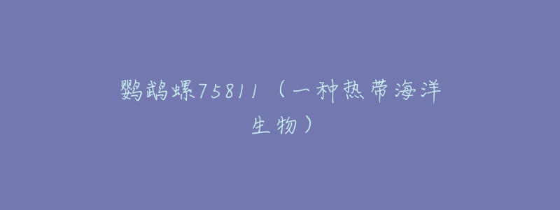 鹦鹉螺75811(一种热带海洋生物)-名表号 鹦鹉螺75811(一种热带海洋生物)