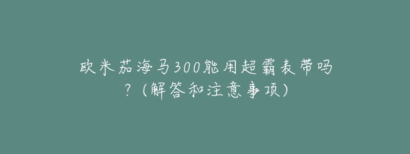 欧米茄海马300能用超霸表带吗?(解答和注意事项)-名表号 欧米茄海马300能用超霸表带吗?(解答和注意事项)