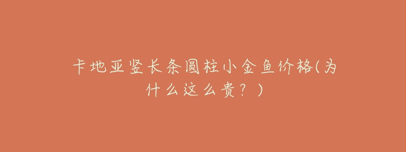 卡地亚竖长条圆柱小金鱼价格(为什么这么贵?)-名表号 卡地亚竖长条圆柱小金鱼价格(为什么这么贵?)