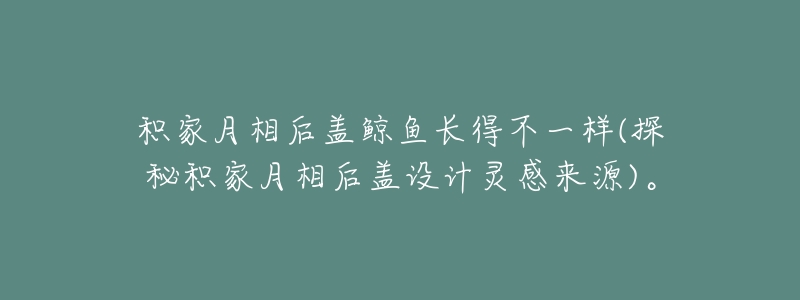 积家月相后盖鲸鱼长得不一样(探秘积家月相后盖设计灵感来源)。-名表号 积家月相后盖鲸鱼长得不一样(探秘积家月相后盖设计灵感来源)。