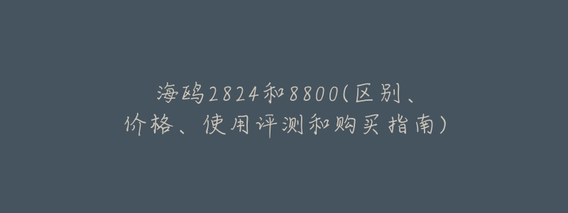 海鸥2824和8800(区别、价格、使用评测和购买指南)
