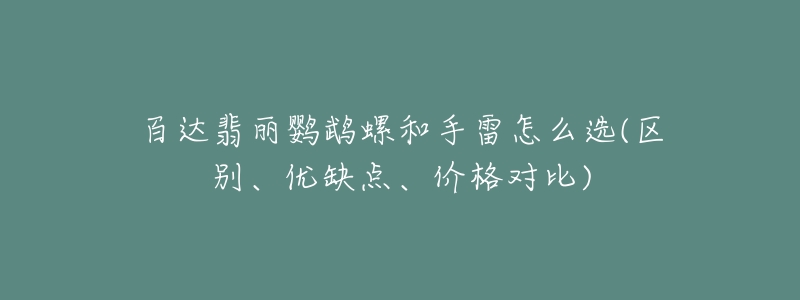 百达翡丽鹦鹉螺和手雷怎么选(区别、优缺点、价格对比)-名表号 百达翡丽鹦鹉螺和手雷怎么选(区别、优缺点、价格对比)