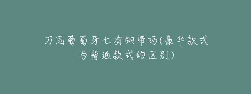 万国葡萄牙七有钢带吗(豪华款式与普通款式的区别)