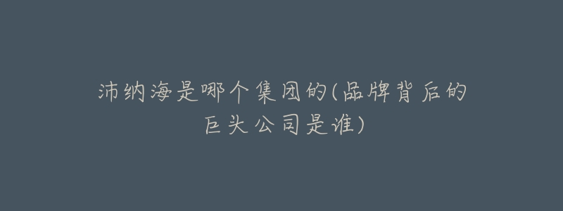 沛纳海是哪个集团的(品牌背后的巨头公司是谁)-名表号 沛纳海是哪个集团的(品牌背后的巨头公司是谁)