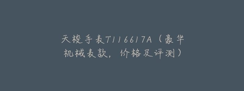 天梭手表T116617A(豪华机械表款,价格及评测)-名表号 天梭手表T116617A(豪华机械表款,价格及评测)