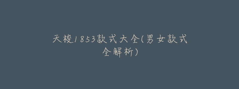 天梭1853款式大全(男女款式全解析)-名表号 天梭1853款式大全(男女款式全解析)