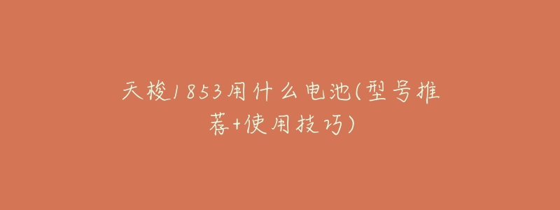 天梭1853用什么电池(型号推荐+使用技巧)-名表号 天梭1853用什么电池(型号推荐+使用技巧)