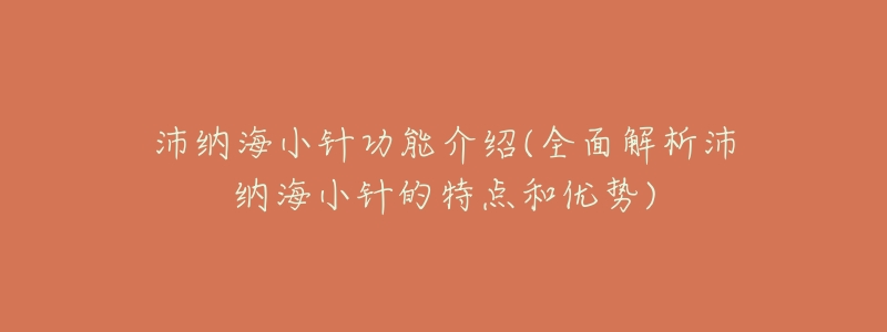 沛纳海小针功能介绍(全面解析沛纳海小针的特点和优势)-名表号 沛纳海小针功能介绍(全面解析沛纳海小针的特点和优势)