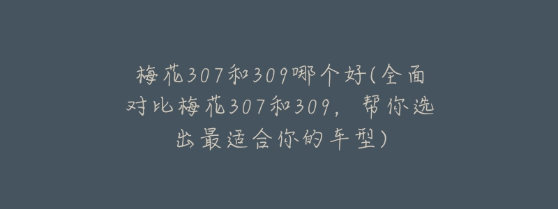 梅花307和309哪个好(全面对比梅花307和309,帮你选出最适合你的车型)-名表号 梅花307和309哪个好(全面对比梅花307和309,帮你选出最适合你的车型)