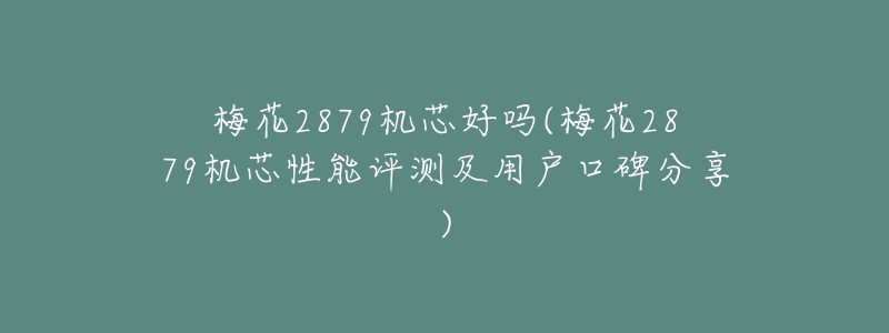 梅花2879机芯好吗(梅花2879机芯性能评测及用户口碑分享)