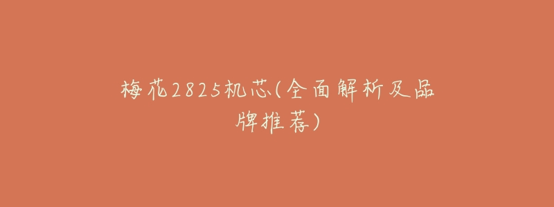 梅花2825机芯(全面解析及品牌推荐)-名表号 梅花2825机芯(全面解析及品牌推荐)