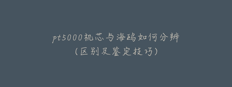 pt5000机芯与海鸥如何分辨(区别及鉴定技巧)-名表号 pt5000机芯与海鸥如何分辨(区别及鉴定技巧)