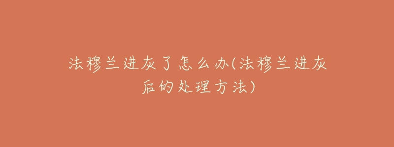 法穆兰进灰了怎么办(法穆兰进灰后的处理方法)-名表号 法穆兰进灰了怎么办(法穆兰进灰后的处理方法)