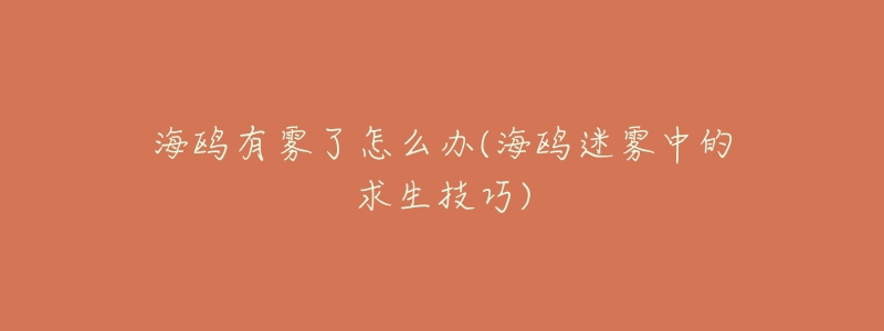 海鸥有雾了怎么办(海鸥迷雾中的求生技巧)-名表号 海鸥有雾了怎么办(海鸥迷雾中的求生技巧)