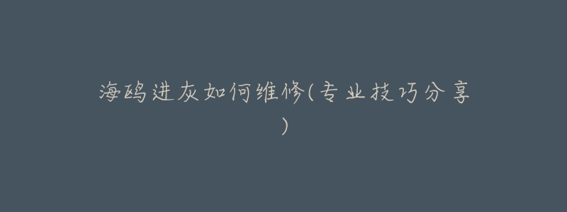 海鸥进灰如何维修(专业技巧分享)-名表号 海鸥进灰如何维修(专业技巧分享)