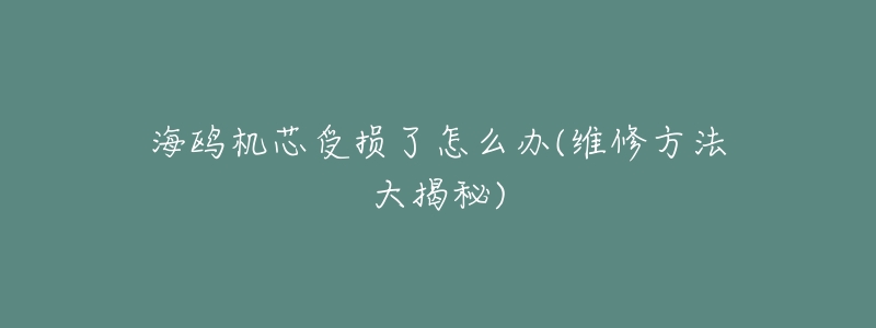 海鸥机芯受损了怎么办(维修方法大揭秘)-名表号 海鸥机芯受损了怎么办(维修方法大揭秘)