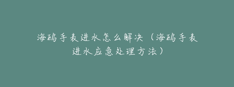 海鸥手表进水怎么解决(海鸥手表进水应急处理方法)-名表号 海鸥手表进水怎么解决(海鸥手表进水应急处理方法)