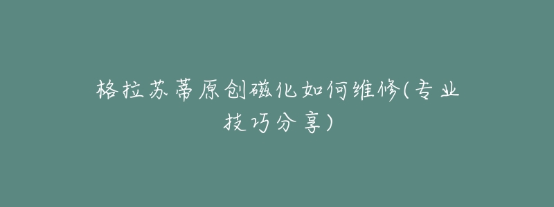 格拉苏蒂原创磁化如何维修(专业技巧分享)-名表号 格拉苏蒂原创磁化如何维修(专业技巧分享)