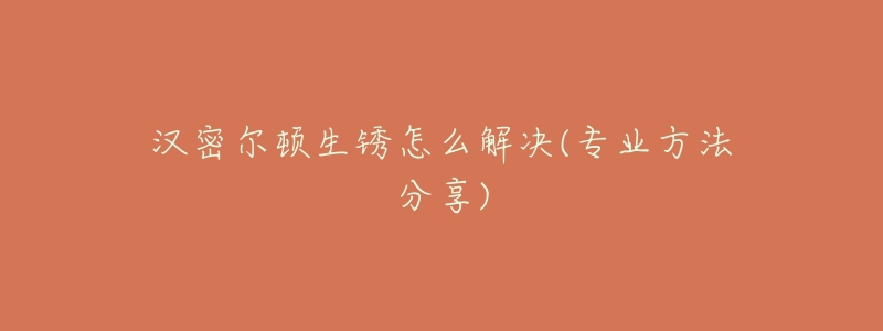 汉密尔顿生锈怎么解决(专业方法分享)-名表号 汉密尔顿生锈怎么解决(专业方法分享)