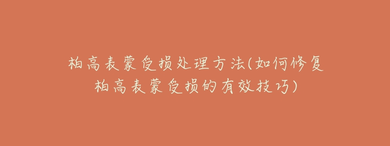 柏高表蒙受损处理方法(如何修复柏高表蒙受损的有效技巧)-名表号 柏高表蒙受损处理方法(如何修复柏高表蒙受损的有效技巧)