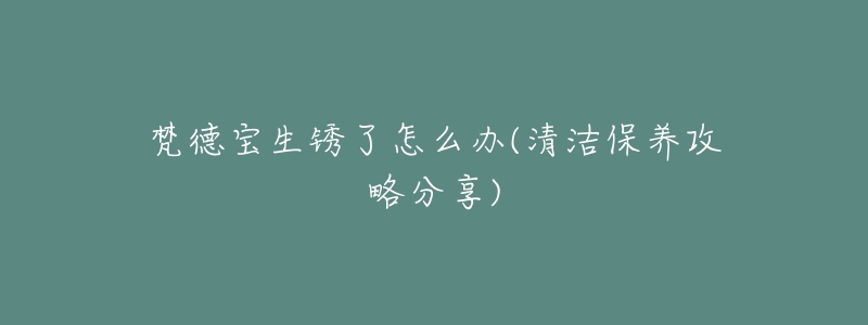 梵德宝生锈了怎么办(清洁保养攻略分享)-名表号 梵德宝生锈了怎么办(清洁保养攻略分享)