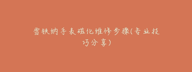 雪铁纳手表磁化维修步骤(专业技巧分享)-名表号 雪铁纳手表磁化维修步骤(专业技巧分享)