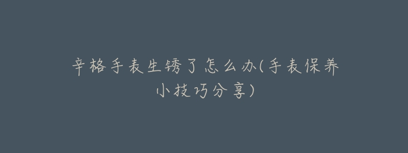 辛格手表生锈了怎么办(手表保养小技巧分享)-名表号 辛格手表生锈了怎么办(手表保养小技巧分享)