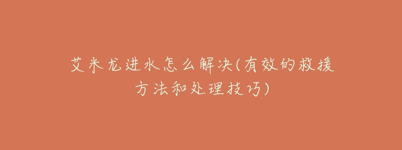 艾米龙进水怎么解决(有效的救援方法和处理技巧)-名表号 艾米龙进水怎么解决(有效的救援方法和处理技巧)