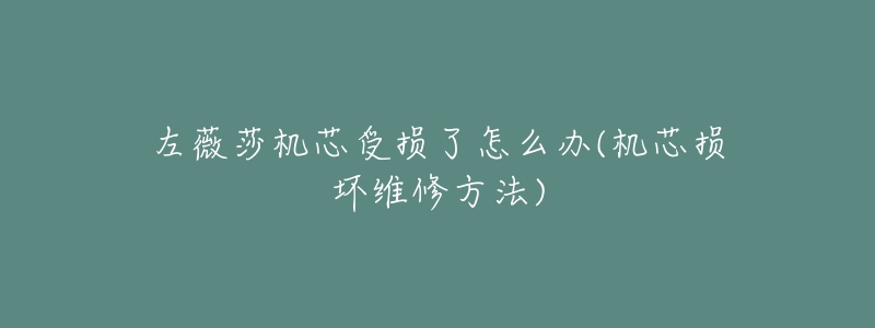 左薇莎机芯受损了怎么办(机芯损坏维修方法)-名表号 左薇莎机芯受损了怎么办(机芯损坏维修方法)
