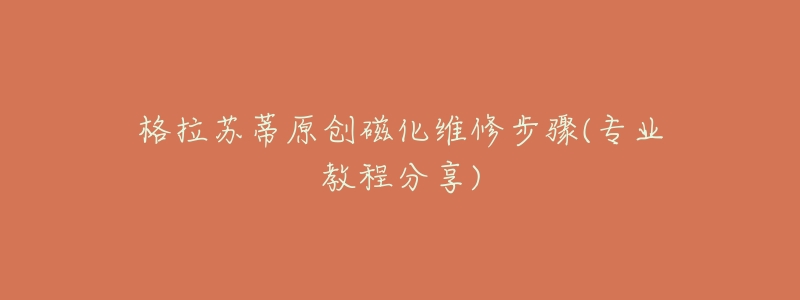 格拉苏蒂原创磁化维修步骤(专业教程分享)-名表号 格拉苏蒂原创磁化维修步骤(专业教程分享)