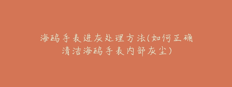 海鸥手表进灰处理方法(如何正确清洁海鸥手表内部灰尘)-名表号 海鸥手表进灰处理方法(如何正确清洁海鸥手表内部灰尘)