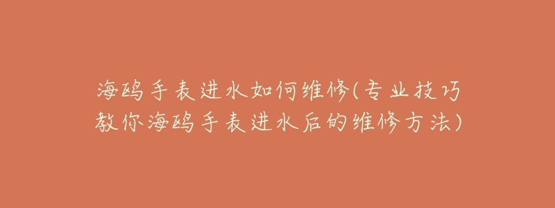 海鸥手表进水如何维修(专业技巧教你海鸥手表进水后的维修方法)-名表号 海鸥手表进水如何维修(专业技巧教你海鸥手表进水后的维修方法)