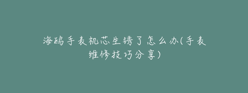 海鸥手表机芯生锈了怎么办(手表维修技巧分享)-名表号 海鸥手表机芯生锈了怎么办(手表维修技巧分享)