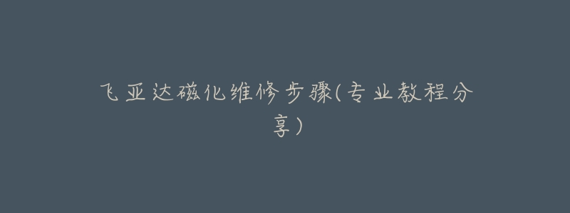飞亚达磁化维修步骤(专业教程分享)