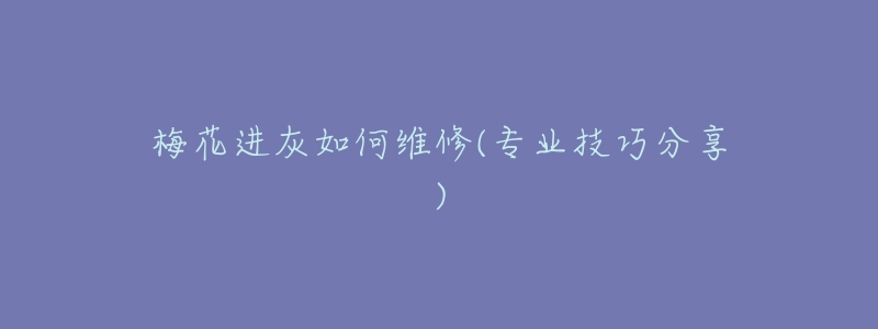 梅花进灰如何维修(专业技巧分享)-名表号 梅花进灰如何维修(专业技巧分享)