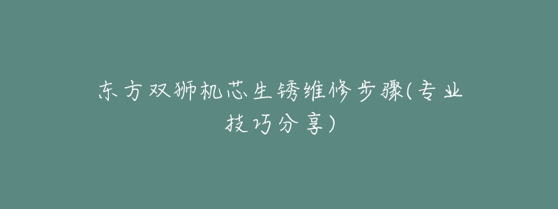 东方双狮机芯生锈维修步骤(专业技巧分享)-名表号 东方双狮机芯生锈维修步骤(专业技巧分享)