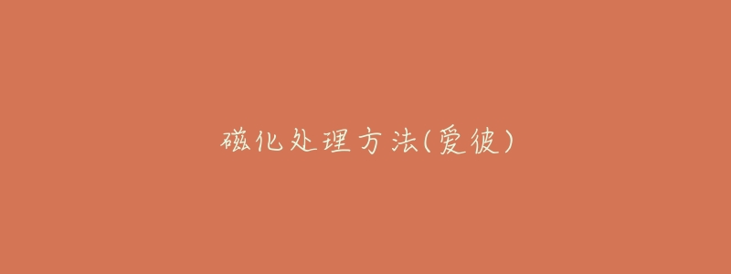 磁化处理方法(爱彼)-名表号 磁化处理方法(爱彼)