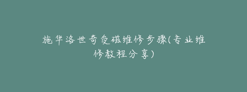 施华洛世奇受磁维修步骤(专业维修教程分享)-名表号 施华洛世奇受磁维修步骤(专业维修教程分享)