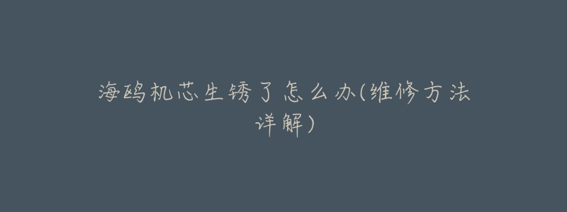 海鸥机芯生锈了怎么办(维修方法详解)-名表号 海鸥机芯生锈了怎么办(维修方法详解)