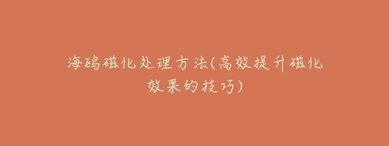 海鸥磁化处理方法(高效提升磁化效果的技巧)