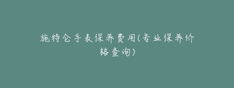 施特仑手表保养费用(专业保养价格查询)-名表号 施特仑手表保养费用(专业保养价格查询)